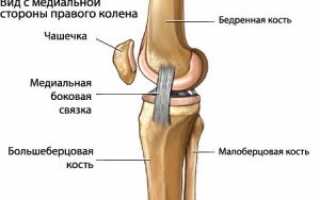Суставы в теле человека