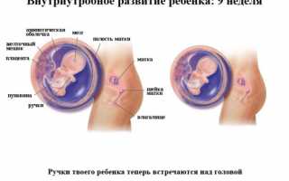 9 неделя беременности