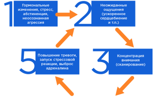 Лечение панических атак гомеопатией — аргументы «за» и «против»