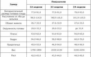 На каком сроке делают третье УЗИ при беременности. Что смотрят на третьем УЗИ при беременности — нормы, расшифровка