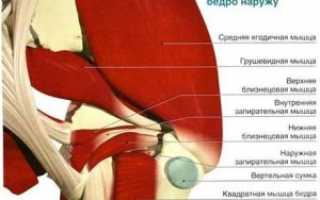 Тазобедренное сочленение
