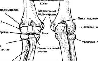 Локтевое сочленение